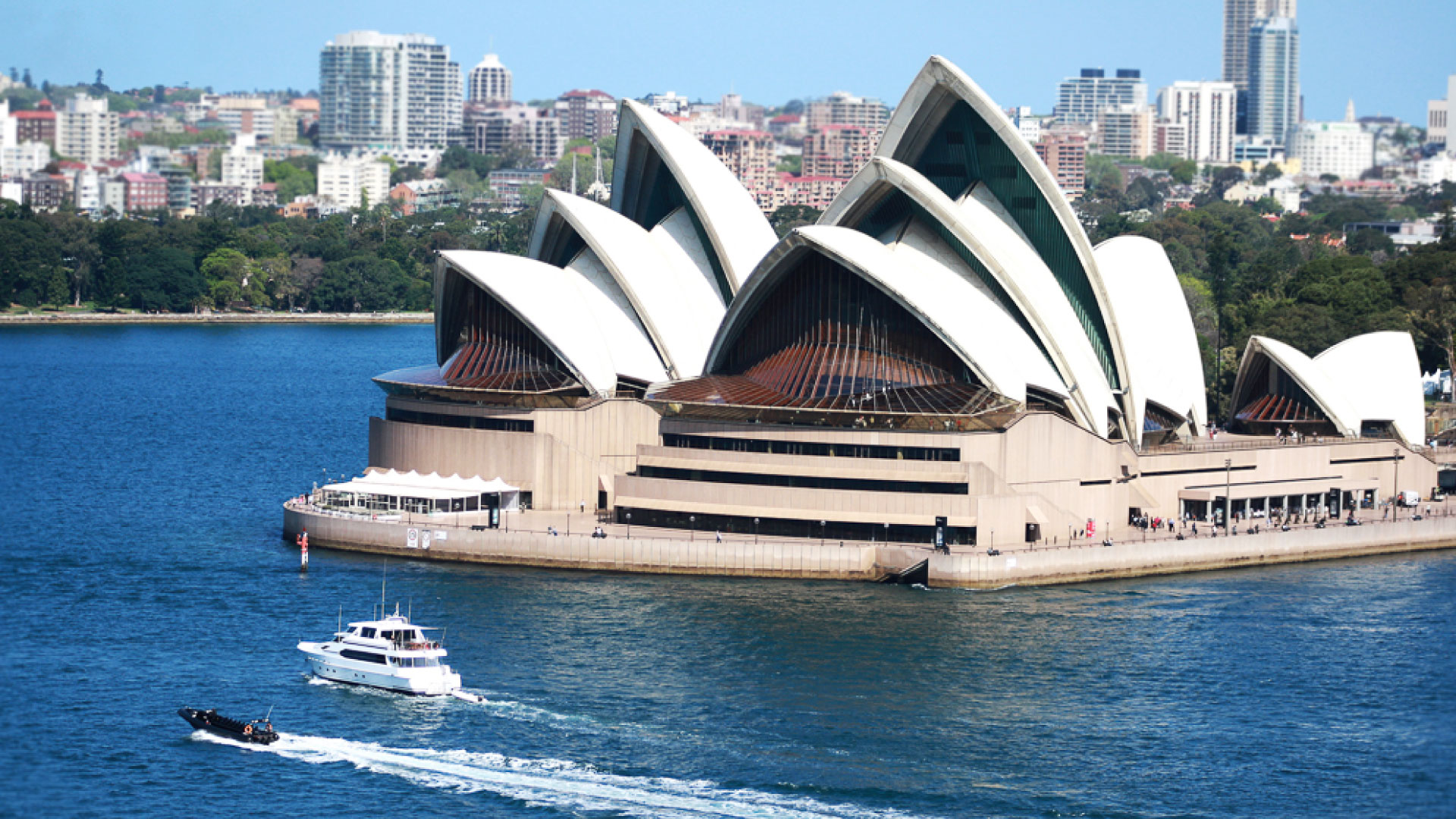 Sydney harbour charters